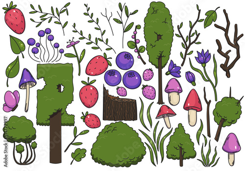 Large set of isolated forest objects: trees, bushes, flowers, mushrooms, leaves. Colored objects with a black line on a white background