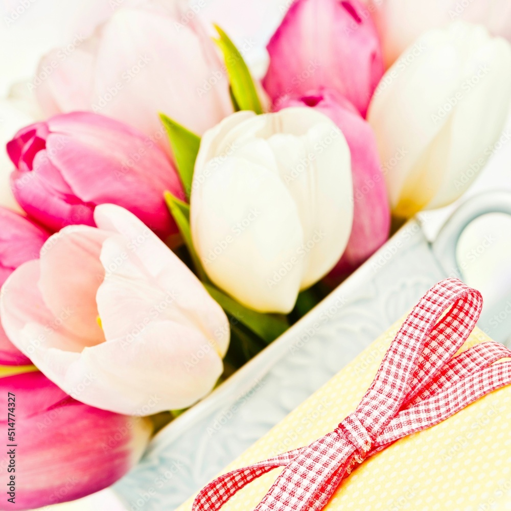Fototapeta premium Birthday Background Very Cute