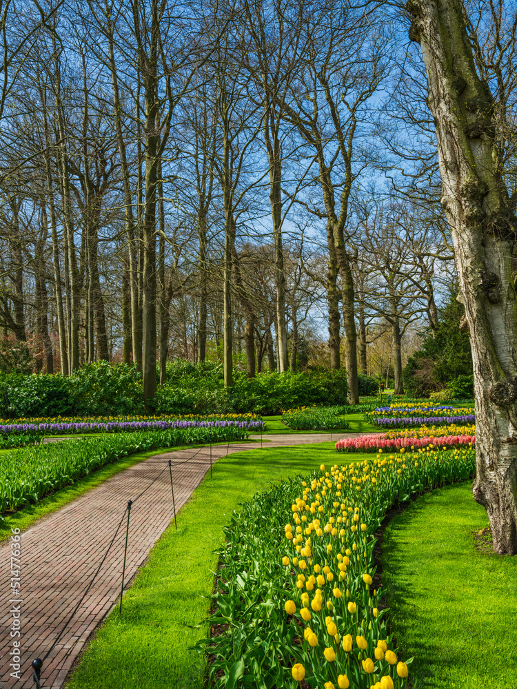 Winding pathways, lush gree lawns and colorful tulips in Keukenhof garden, Netherlands Winding pathways, lush gree lawns and colorful tulips in Keukenhof garden, Netherlands