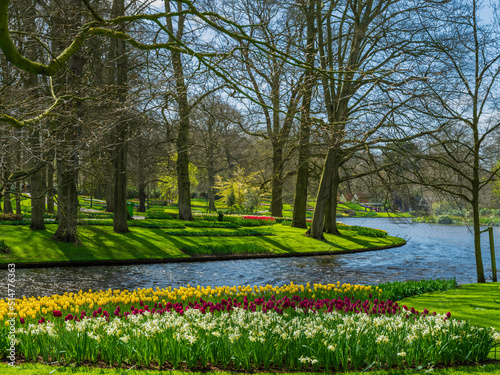 Colorful tulips on the river bank in Keukenhof garden, Netherlands