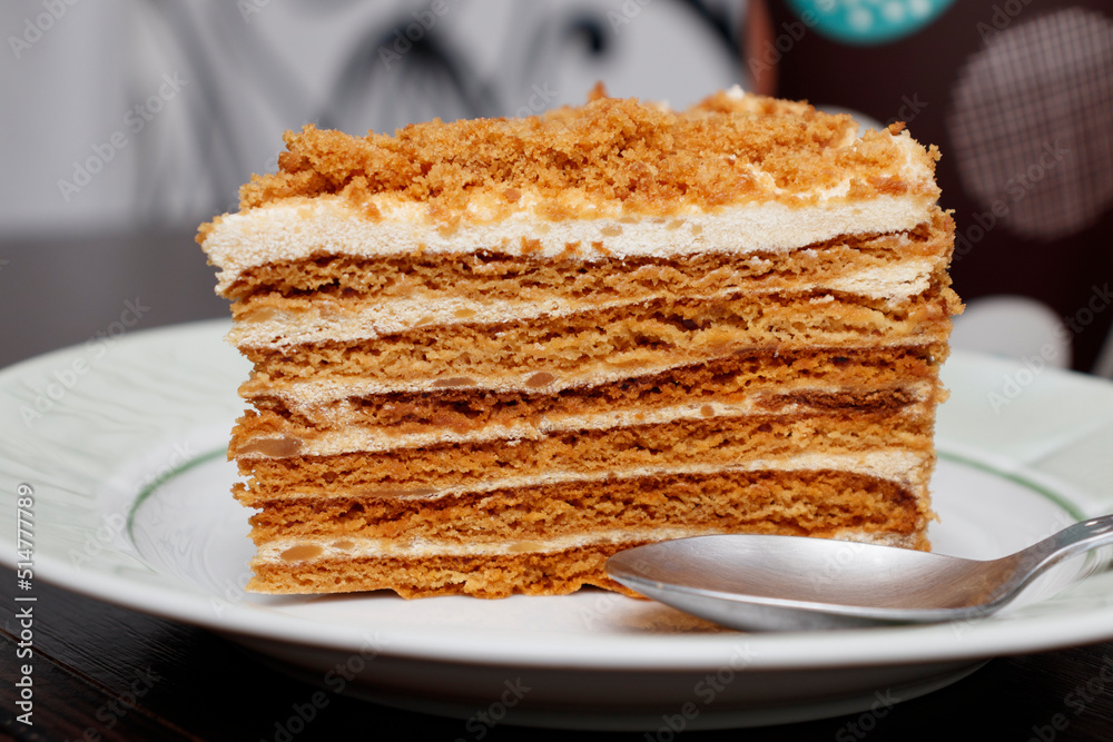 Piece of caramel cake in cafe. Delicious caramel cake. Perfect aesthetic layered cake with caramel.