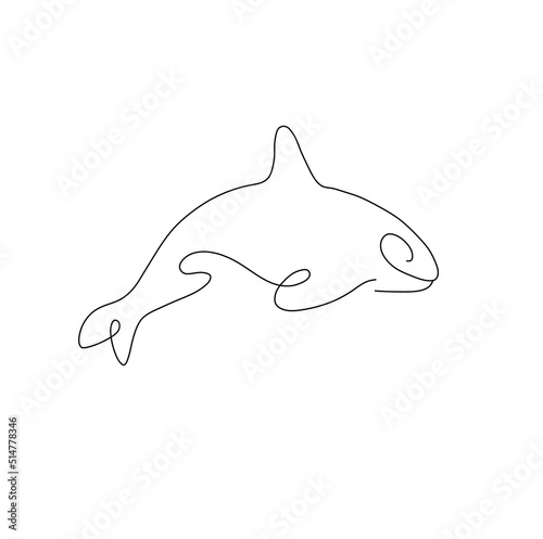 Vector isolated killer whale dolphin colorless black and white one line single line drawing