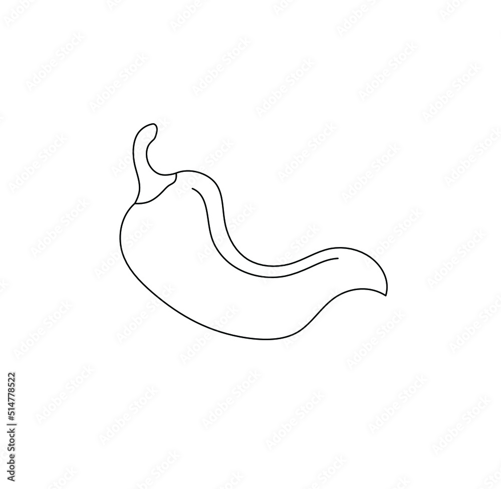 Vector isolated small simple chili pepper drawing. Colorless minimal