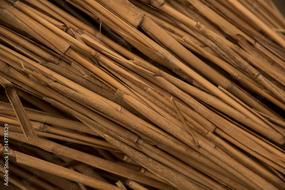 Natural background from brown stalks of dried cane. Natural background from brown stalks of dried cane.
