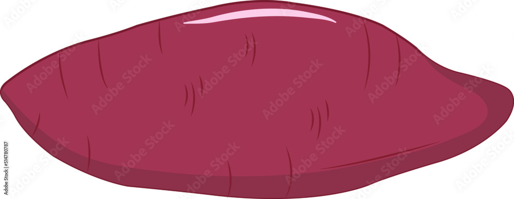 Fresh Sweet Potato Vector Illustration Fresh Sweet Potato Vector Illustration