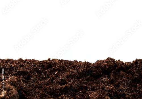 Peat moss isolaetd on white background with clipping path