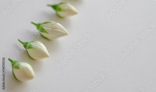 jasmine buds in line on white background. Invitation, card, copy space for text, pattern, wallpaper, banner, cover, mockup, for your design, horizontal