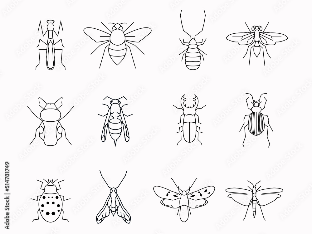 insect bug line art icon set.artistict outline logo