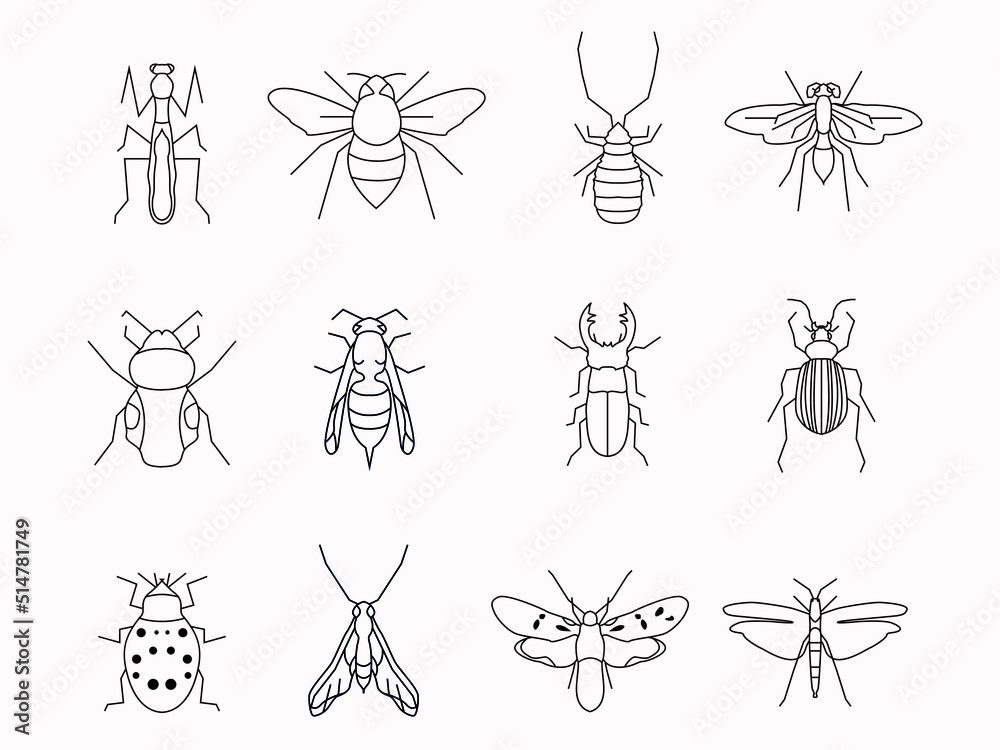 insect bug line art icon set.artistict outline logo insect bug line art icon set.artistict outline logo