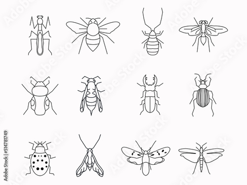 insect bug line art icon set.artistict outline logo