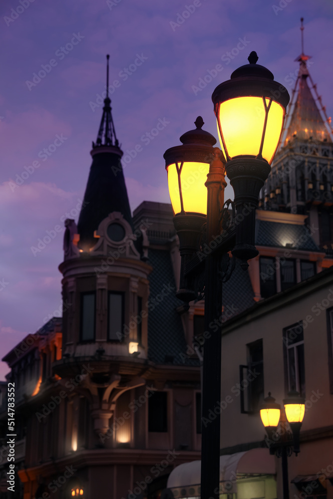 Fototapeta premium Beautiful cityscape with glowing streetlights in evening