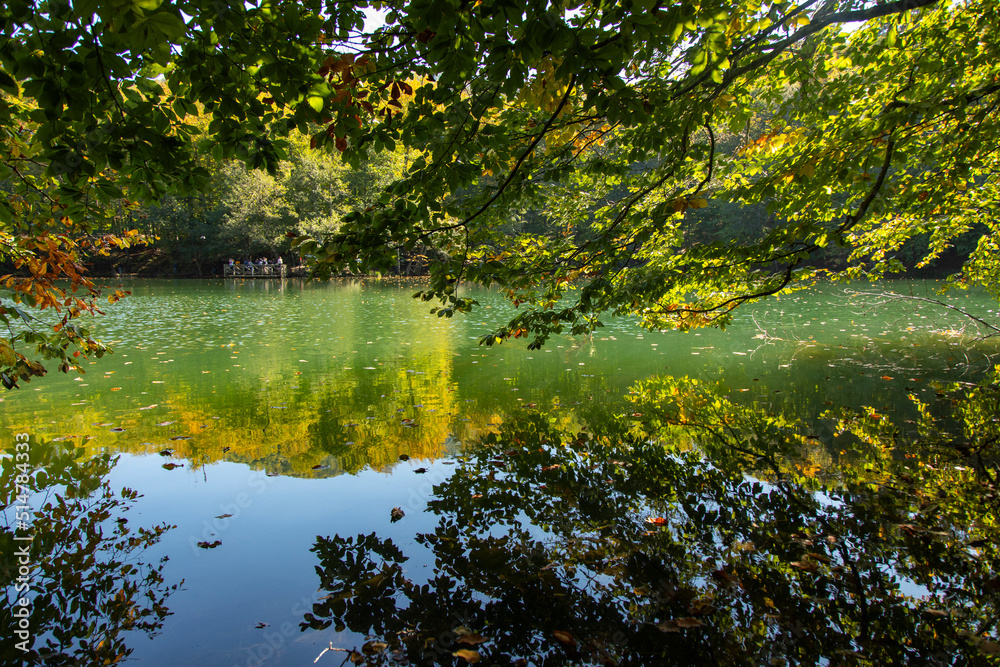 Green Reflections in the Golcuk Lake, Golcuk National Park, Bolu Turkey