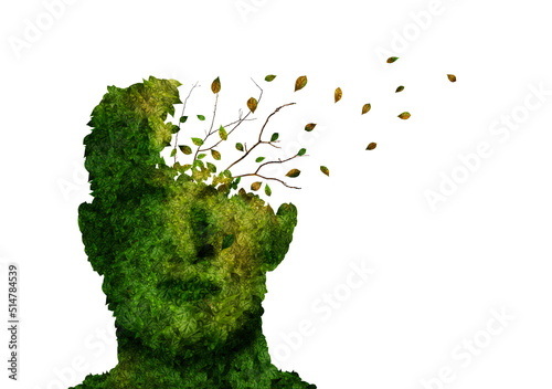 Dementia concept. Illustration of green head shaped plant losing leaves on white background photo