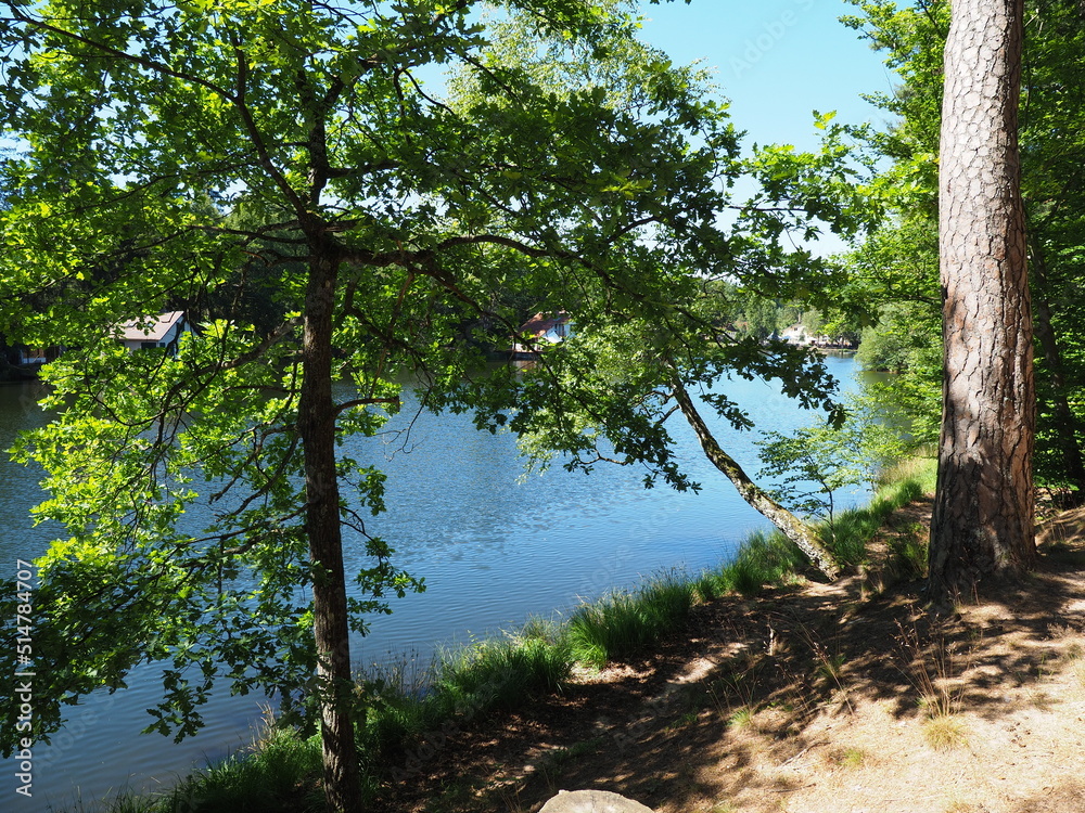 Naklejka premium Hasselfurter Weiher – Stausee bei Bitsch in Frankreich