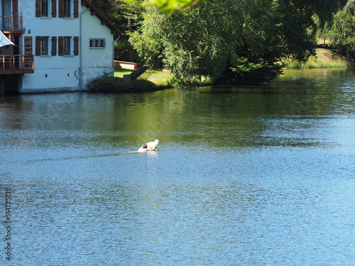 Hasselfurter Weiher – Stausee bei Bitsch in Frankreich photo