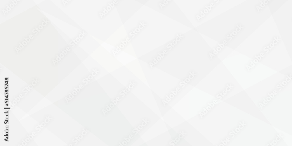 Abstract background with gray background with texture, white abstract modern background. Geometry shine and layer element vector for presentation design. Decorative web layout or poster, banner.design