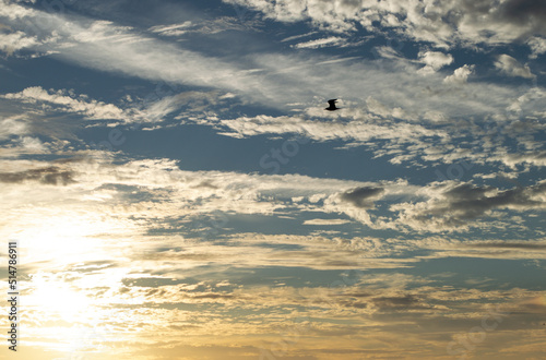 sun and clouds and bird