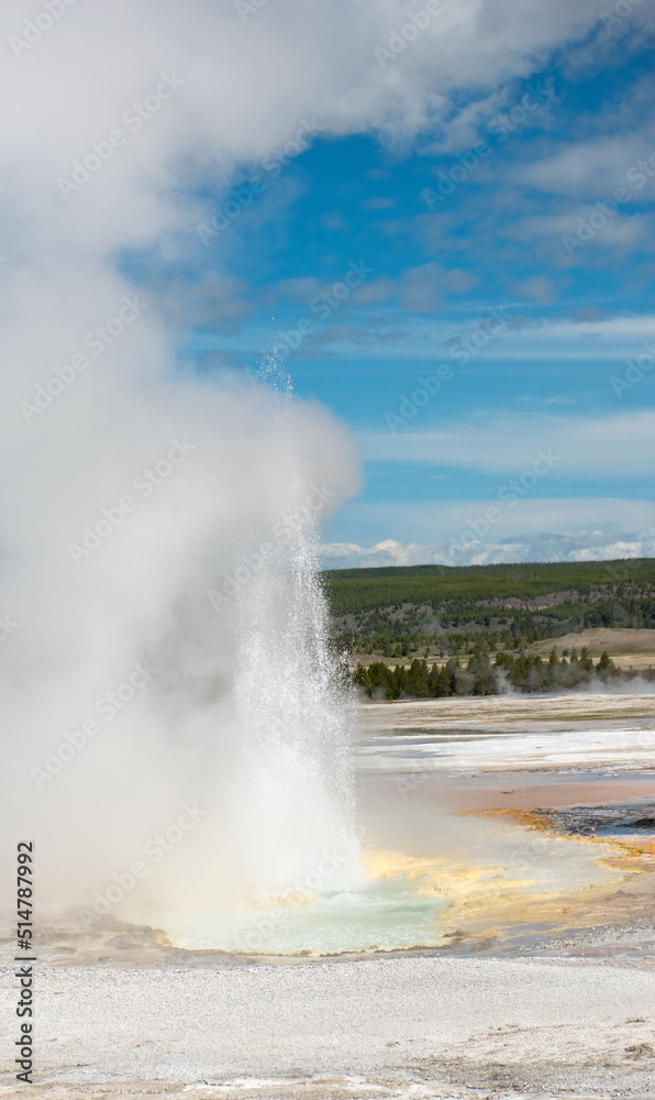 Jelly Geyser on the Fountain Paint Pot Trail, Yellowstone National Park
