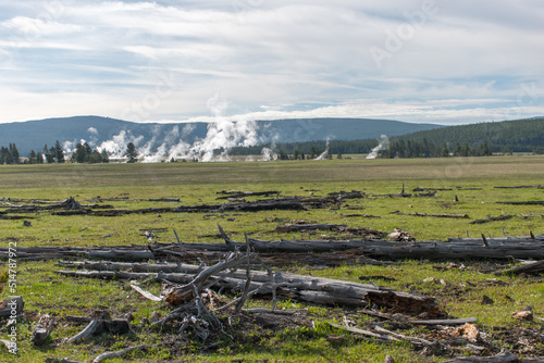 View toward Lower Geyser Basin from Freight Road trail, Yellowstone National Park