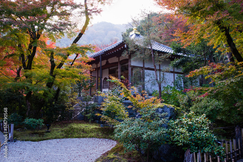 京都嵯峨野の秋風景