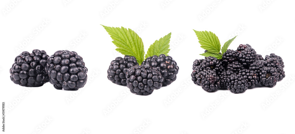 Ripe blackberry isolated on white background with clipping path. Fresh summer wild berries closeup. Detailed Blackberry collection with leaves. Ripe blackberry isolated on white background with clipping path. Fresh summer wild berries closeup. Detailed Blackberry collection with leaves.