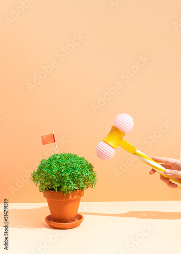 Manjerico plant and toy hammer in hand against beige background. Traditional Summer festival in June San Juan, Portugal