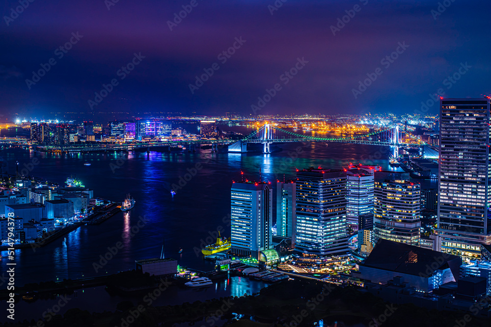 日本の東京から見える夜景が絶景で美しい