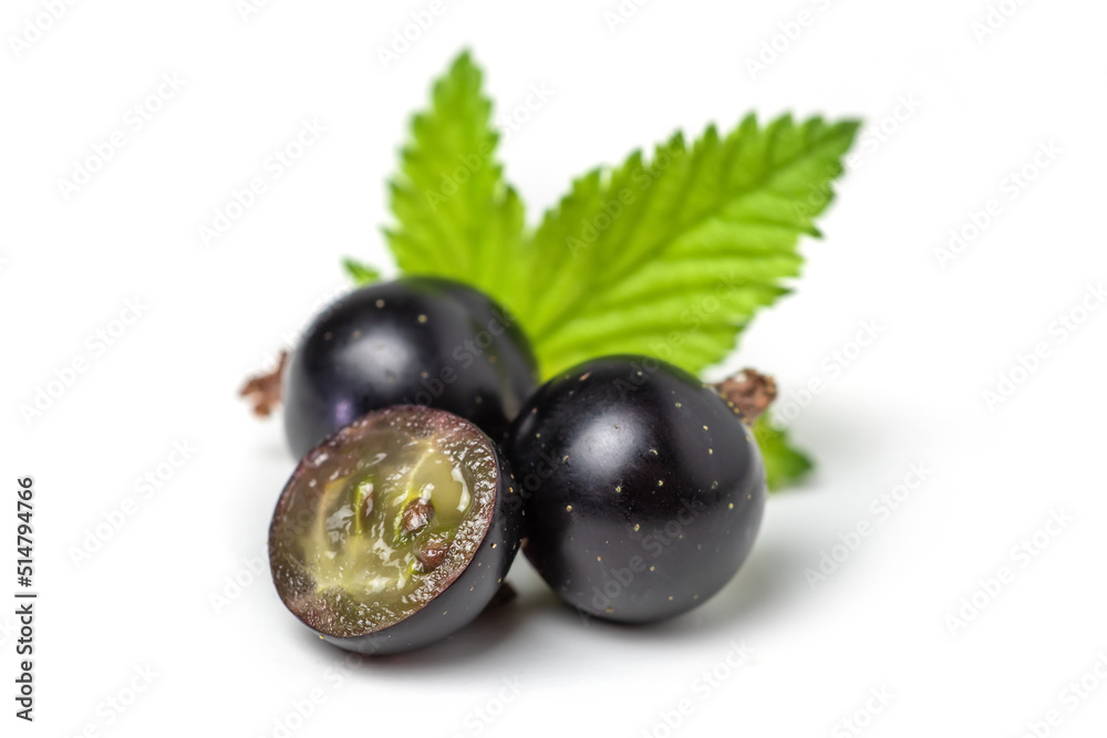 Group of black currants with leaves, one sliced in half Group of black currants with leaves, one sliced in half