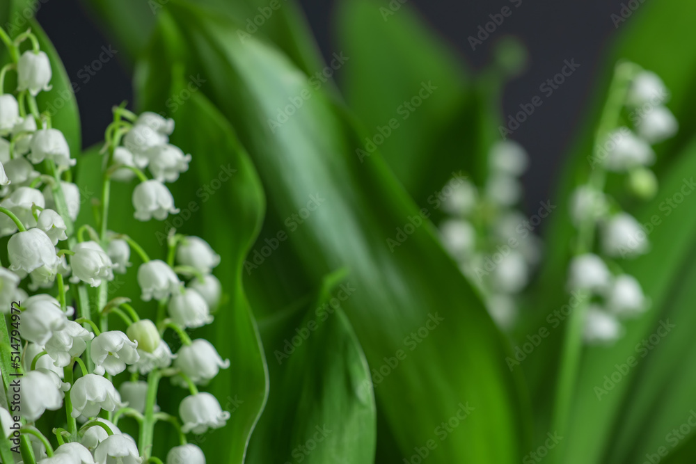 Lily of the valley close-up, detailed bright macro photo. The concept of spring, may, summer. Floral background. Lily of the valley close-up, detailed bright macro photo. The concept of spring, may, summer. Floral background.