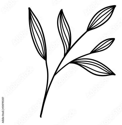 Leaves Line Art