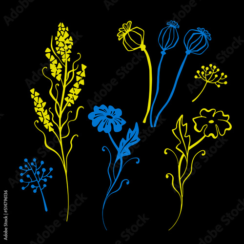 Yellow and blue vector design. Floral set with Abstract Flower and Dry grass as design element. Hand drawn sketch style. Line art. Ink drawing. Botany illustration on black. Isolated. 