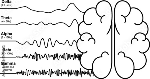 Brainwave frequencies signal Analysis, human brain's response, neural network photo