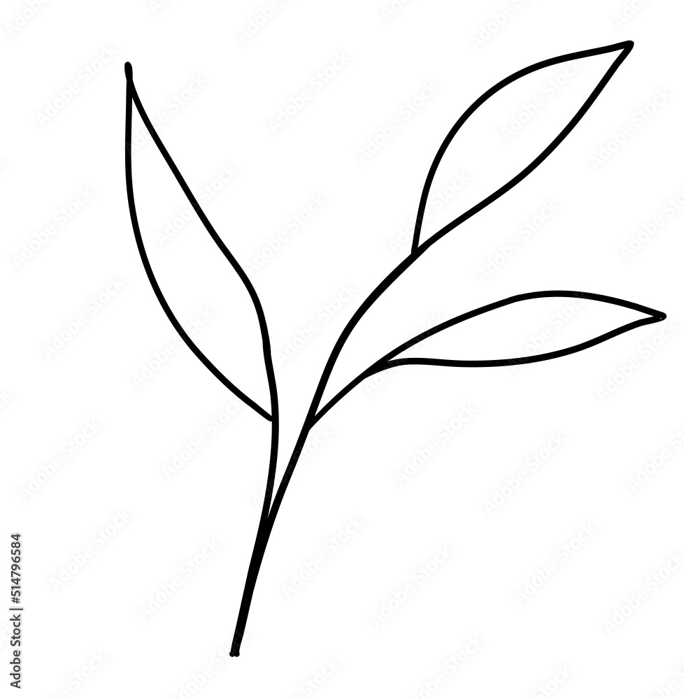 Leaves Line Art Leaves Line Art