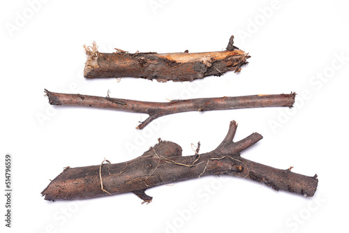 Dry tree branches isolated on the white background. Firewood. photo