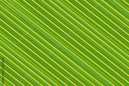 green lines parallel and oblique  stripes dark and light background