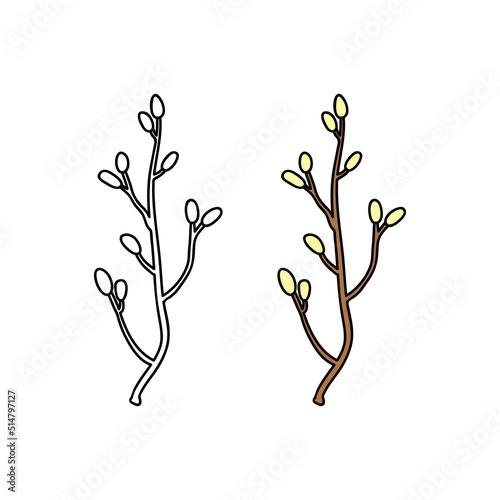 Doodle outline and colored pussy willow twig.