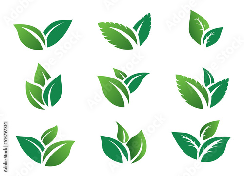 stock vector set green leaf icon eco. green leaves   plant nature garden. icon botanical collection  