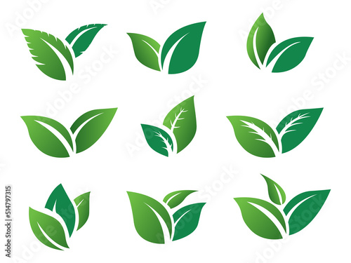 stock vector set green leaf icon eco. green leaves 

plant nature garden. icon botanical collection

