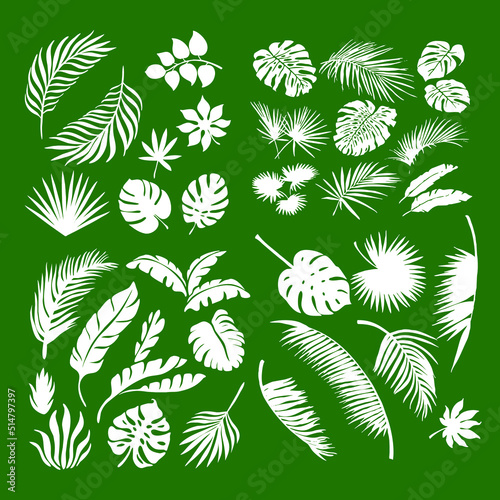 Set of different tropical and European trees, leaves and plants.