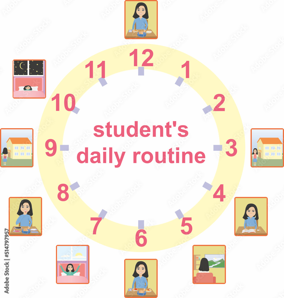 the average female student's daily routine on a weekday