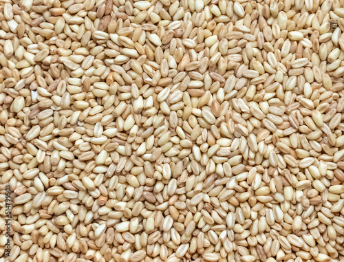 background barley grain brewing ingredient closeup top view