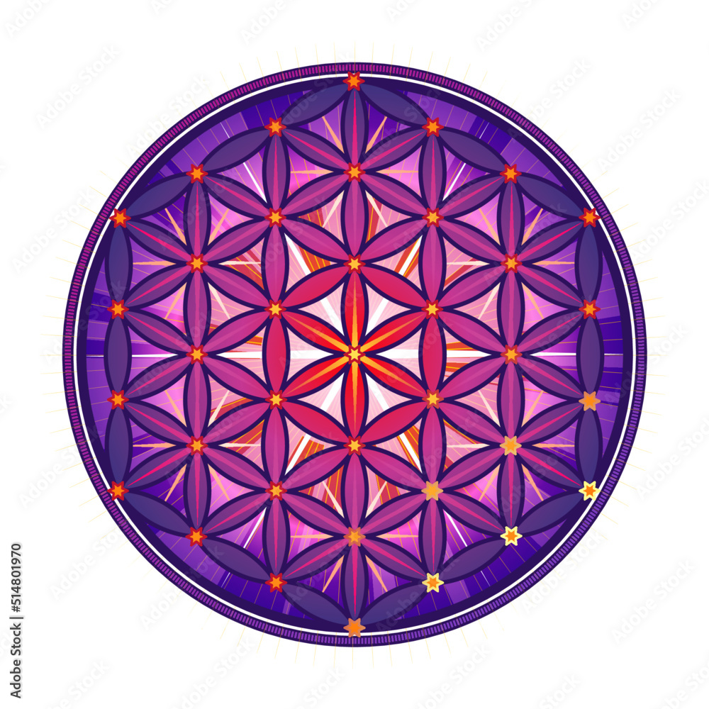 Violet Symbol Flower of life. The flower of life is a symbol of sacred