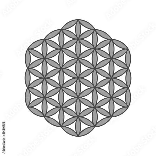 Symbol Flower of life. The flower of life is a symbol of sacred geometry and the universal forgotten language of the universe. It reveals the knowledge contained in the deep memory of living and non-l