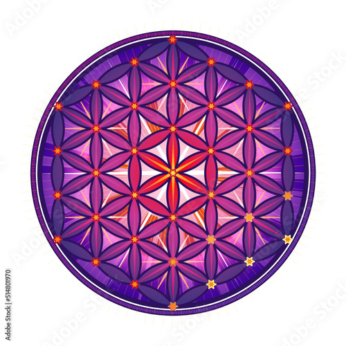 Violet Symbol Flower of life. The flower of life is a symbol of sacred geometry and the universal forgotten language of the universe. It reveals the knowledge contained in the deep memory of living an