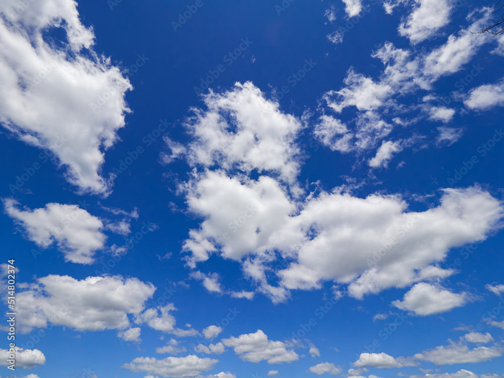 blue sky with a cloud close-up blue sky with a cloud close-up