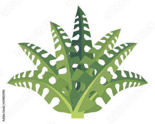 Cartoon fern. Green ancient forest natural plant