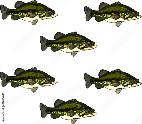 Full Colored Large Mouth Bass Pattern