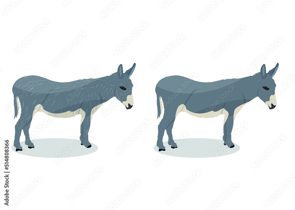 Donkey cartoon vector illustration on white background, wild animal. 
