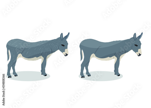Donkey cartoon vector illustration on white background  wild animal. 