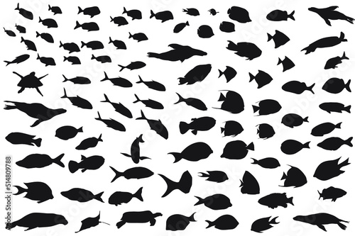 Fish Silhouette vector file for download